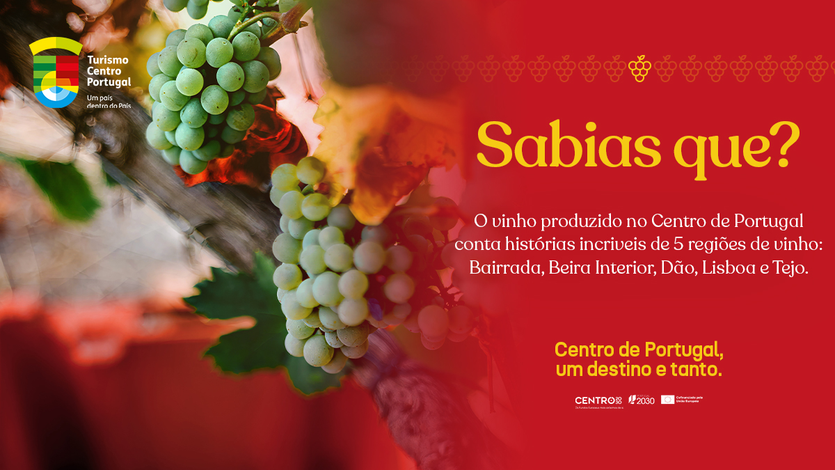 Festival da Vindima de Bages oferece 11 mil degustações de vinhos